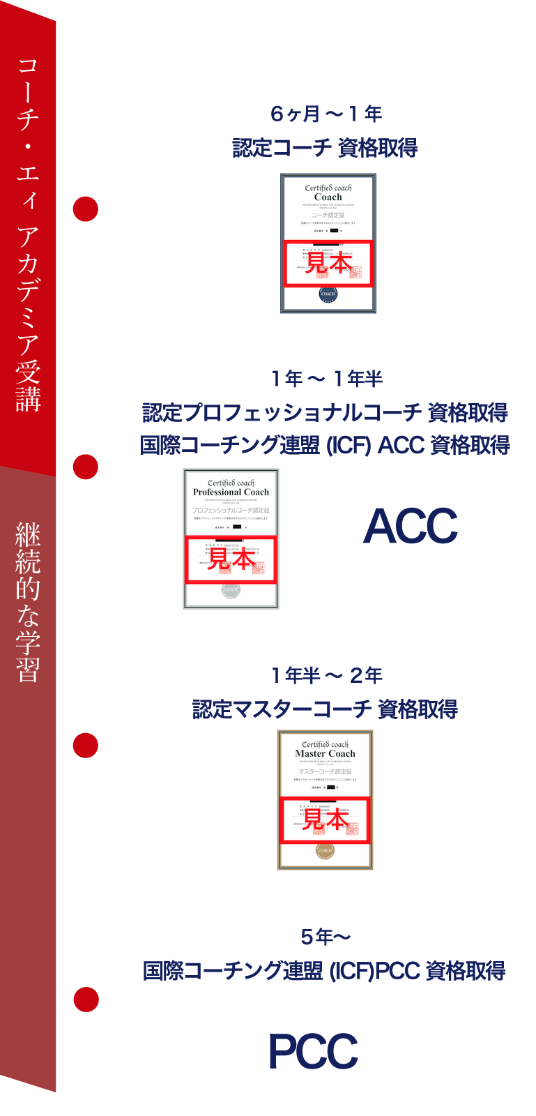 coachAcademia受講開始後 最短６ヶ月で資格取得が可能